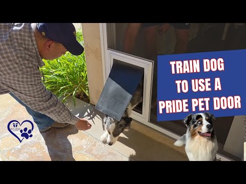 All-in-One Sliding Screen Door with Built-In Dog Door